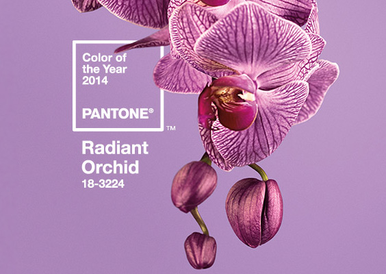 Pantone Color of The Year 2014