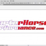 QuarterHorse Performance